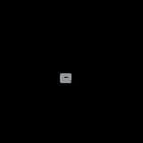Nintendo DS